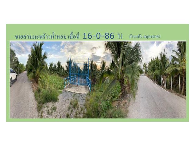 ขายสวนมะพร้าวน้ำหอม  16 -0-86 ไร่  ติดถนนทางหลวงชนบท สมุทรสงคราม 5026 อ.บ้านแพ้ว สมุทรสาคร