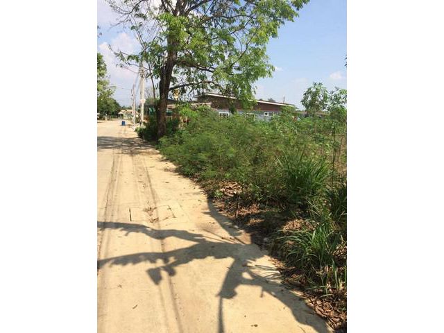 ขายที่ดิน 4 ไร่ อยู่ในเขตชุมชน จังหวัดชลบุรี