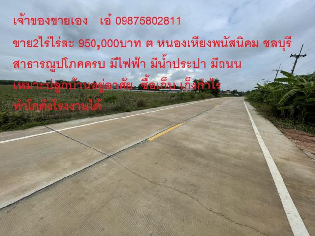 ขาย 2 ไร่ ไร่ละ 9.5แสน ใกล้ 331 มีไฟฟ้า3เฟส สาธรณูปครบ ที่สูง ทำโกดัง