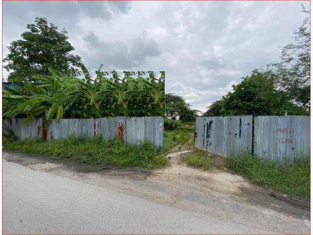 ขายที่ดิน398 ตร.ว.ย่านนวลจันทร์ เลียบด่วน ลาดพร้าว