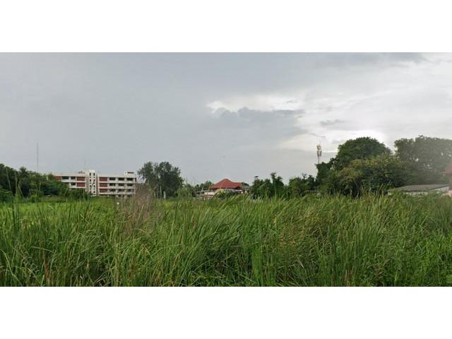 ขายที่ดินแปลงสวย 15 ไร่ 2 งาน เมืองปทุมธานี