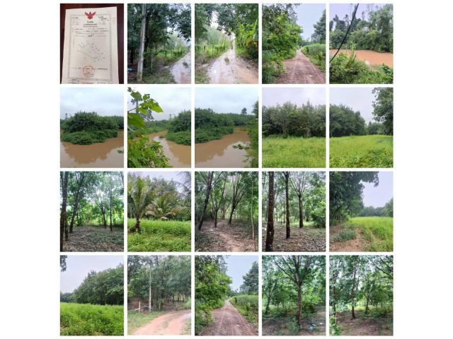 ที่ดินสวย ติดคลองน้ำ โฉนด 6ไร่