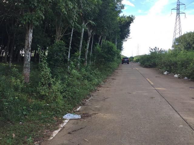 ขายด่วนที่ดินสวนยาง ติดถนนคอนกรีต