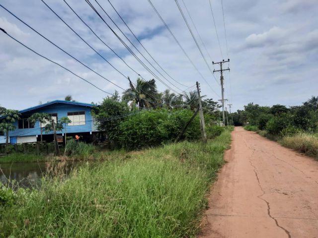 ขายที่นาติดแม่น้ำบางปะกง 2 ไร่ ติดถนนคอนกรีต ใกล้ถนนเส้น 3481 - 2 กม. จ.ฉะเชิงเทรา
