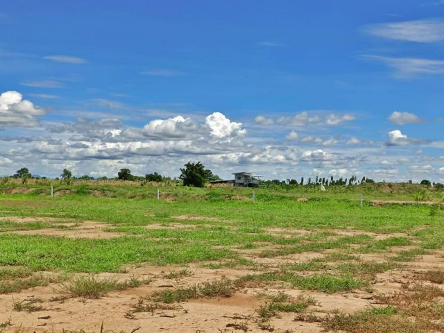 ขายที่ดินสวย จ.สุพรรณ เหมาะสร้างบ้านสวนมีเพื่อนบ้านไม่เปลี่ยว มีไฟฟ้าปะปาพร้อม