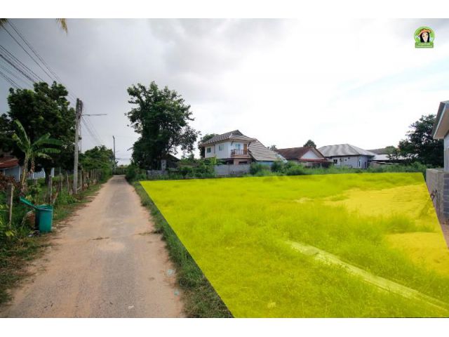 ที่ดินซอยอุบล-ตระการ 16 โซนวัดศรีแสงทอง