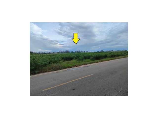 ขายที่ดิน ท่ามวง กาญจนบุรี