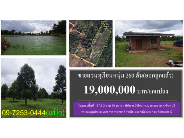 #ขายสวนทุเรียน #จันทบุรี #โฉนด 16 ไร่ #พิกัดนายายอาม