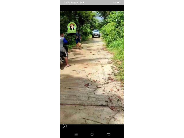 ที่ดินบ้านกุดตากล้า/ยโสธร 350,000.-