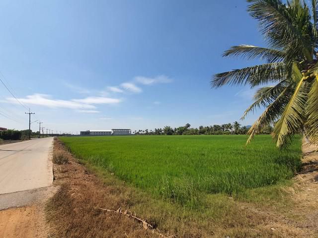 ขายที่ดินเมืองฉะเชิงเทรา 20 ไร่ ติดถ.คอนกรีตใกล้ถนน 304 – 1 กม. จ.ฉะเชิงเทรา