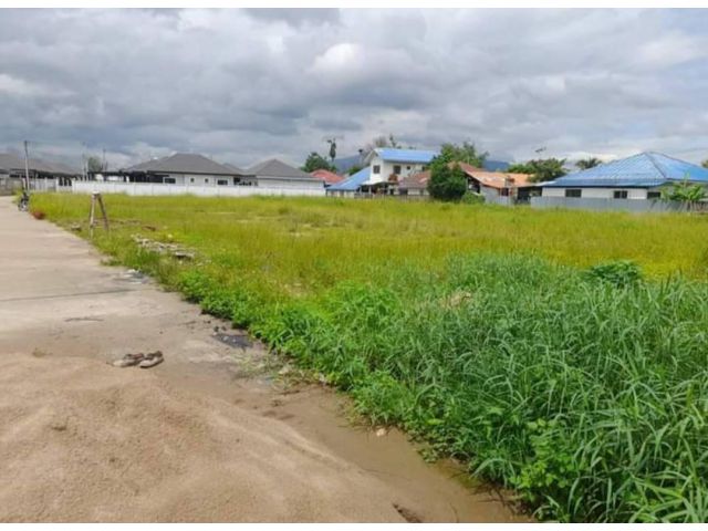 ขายที่ดินบ้านป่างิ้ว ท่าวังตาลสารภี ใกล้เมือง ราคาถูก