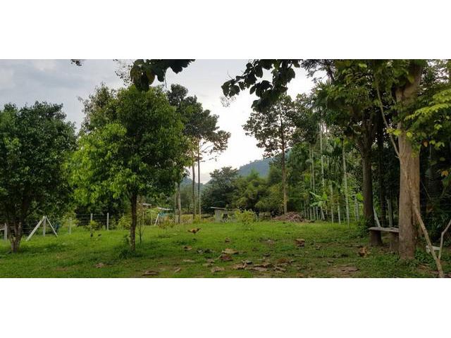 ขายที่สวนแปลงเล็ก วิวเขา ต.เขาพระ อ.เมืองนครนายก