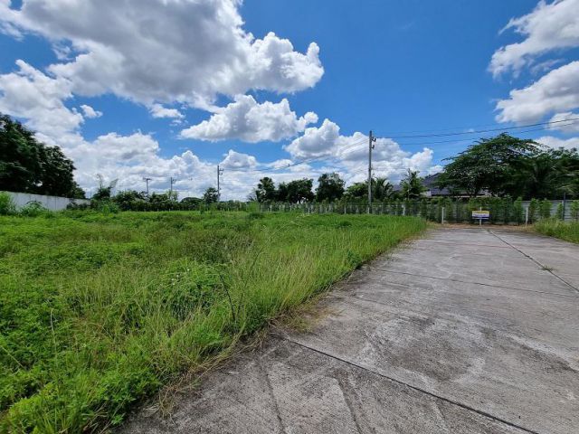 ขายที่ดินหางดง วิวดอยสุเทพ ต.น้ำแพร่ อ.หางดง เนื้อที่ 317 ตร.ว. วาละ 23,000บ.