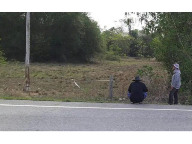 PR900ขายที่ดิน23ไร่3งาน87ตรว. ต. วังเย็น อ. แปลงยาว จ. ฉะเชิงเทรา
