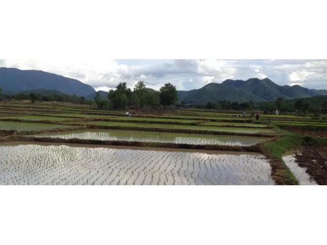 PR901ขายที่ดิน16ไร่13วาติดถนนพหลโยธิน กม. 546 (ลำปาง-สบปราบ-เถิน-กรุงเทพ)ขาเข้ากรุงเทพ