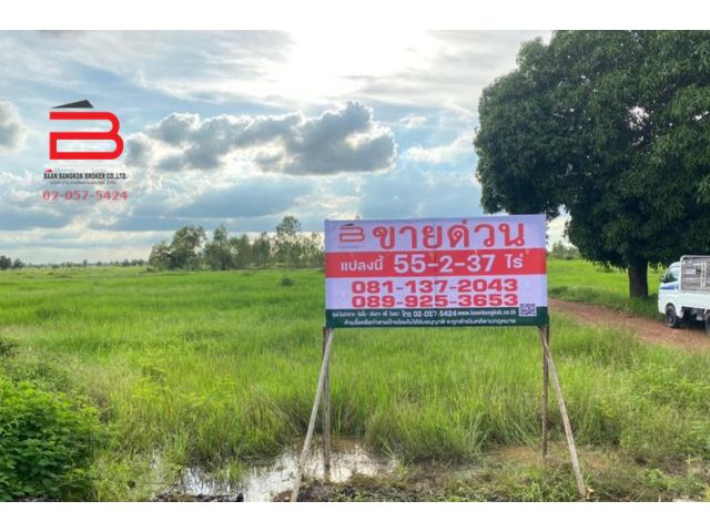 ที่ดินน่าลงทุน ใกล้อุทยานประวัติศาสตร์ศรีเทพ 9 กม. เนื้อที่ 55 ไร่ 2 งาน 37 ตรว. ศรีเทพ เพชรบูรณ์