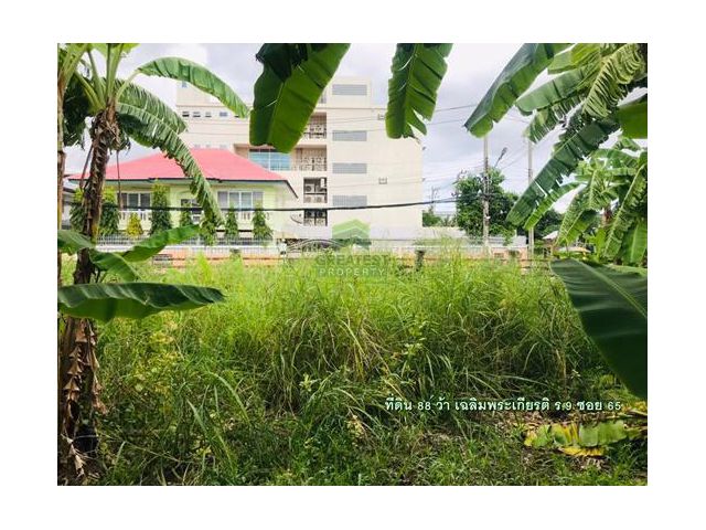 ขายด่วน ที่ดินเปล่า เฉลิมพระเกียรติร.9 ซอย 65 เนื้อที่ 88 ตร.ว แปลงริม ทำเลดี เหมาะปลูกบ้านพักอาศัย