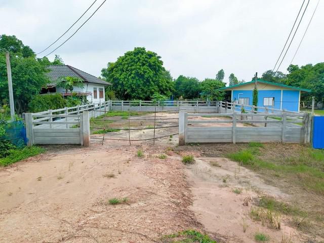 ขายที่ดิน 70 ตรว. ถมแล้วหลังอบจ.นครนายก ใกล้ถนนสุวรรณศร 33 - 550 เมตร จ.นครนายก