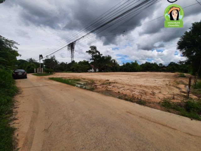 ที่ดินสร้างบ้าน พิกัดบ้านศาลาแดง/ยโสธร