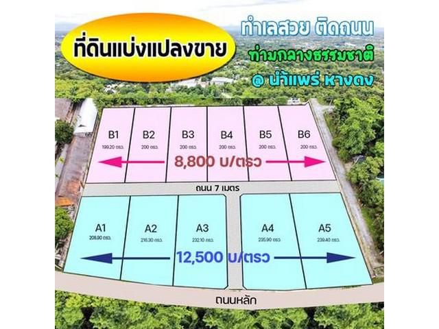 ที่ดินแบ่ง 200ตรว เริ่มตรว8800บ น้ำแพร่ หางดง ชม.