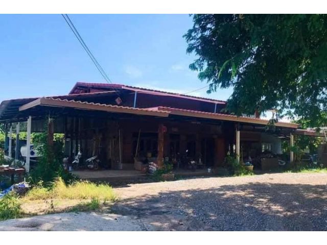 ขายด่วนสวนทุเรียนจันทบุรีพร้อมผลผลิต สามารถมาดูแลต่อและเตรียมนำไปขายได้ในปีถัดไปในทำเลที่ดีใกล้ถนนสุขุมวิทเพียง500เมตร