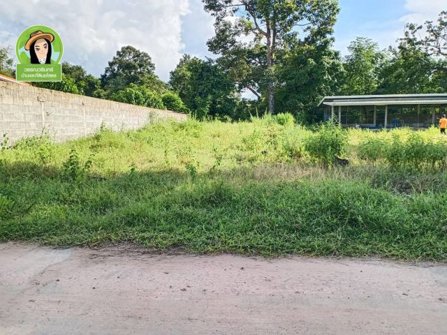 ที่ดินสร้างบ้าน