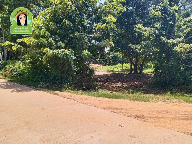 ที่ดินราคาถูกบ้านประชาสรรค์/ตาดทอง