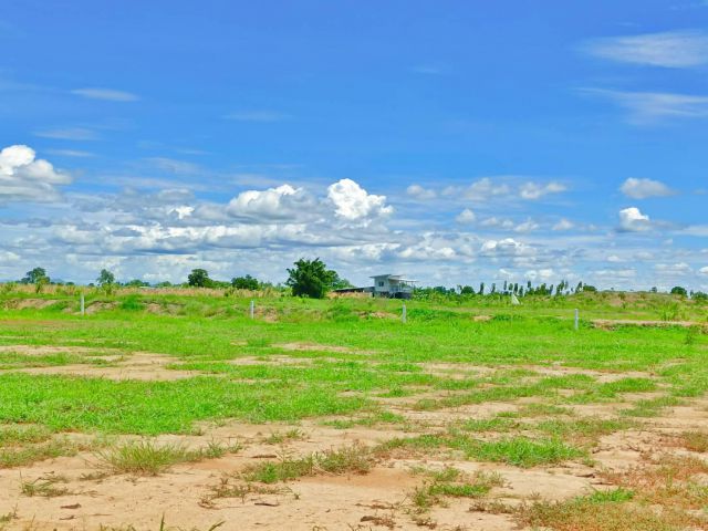 ขายที่ดินแปลงสวย เหมาะสร้างบ้านสวนยามเกษียณ
