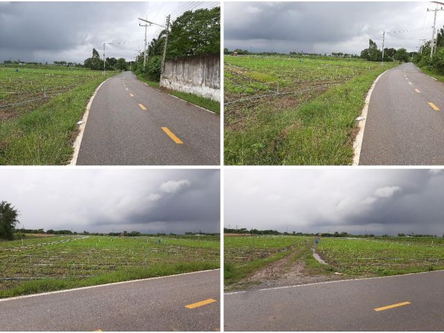 ขายที่ดิน 17 ไร่ ติดถนนลาดยาง มีไฟฟ้า 3 เฟส ใกล้โรงงาน สยามคราฟท์ SCG. วังศาลา