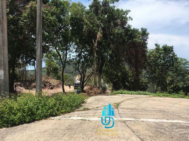 ขายที่ดินวิวทะเลสมุย 22ไร่2งาน9 ตร.ว สุราษฎร์ธานี