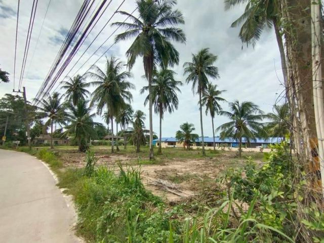 ขายที่พัทยา บางละมุง 1 ไร่ 2 งาน ทำเลทอง ติด ถ.พรประภานิมิต 36 หนองตาอุ่น ทำเลธุรกิจ โซนพัทยา ที่สวย เหมาะปลูกบ้าน ทำธุร