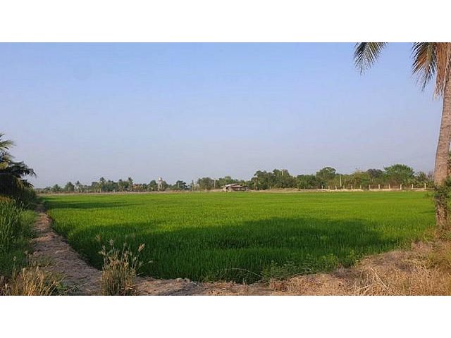 ขาย ที่ดิน 9 ไร่ 2 งาน 89 ตร.ว. บางเลน นครปฐม