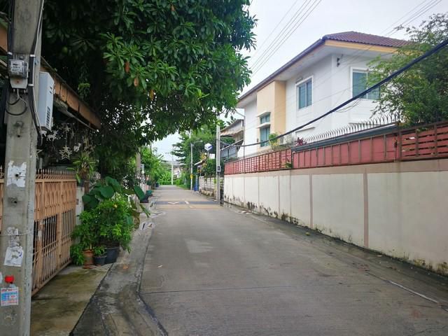 ขายที่ดินย่านลาดพร้าว 71 ขนาดเนื้อที่ 99 ตร.ว.