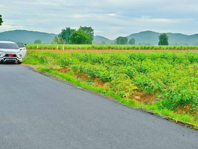 ขายที่ดินวิวเขาสวย เหมาะสร้างบ้านสวนยามเกษียณ โคกหนองนา พื้นที่มีความอุดมสมบูรณ์ดี น้ำไม่ท่วม