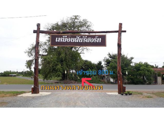 ขายที่ดินวิวเขาสวย เหมาะสร้างบ้านสวนยามเกษียณ โคกหนองนา พื้นที่มีความอุดมสมบูรณ์ดี น้ำไม่ท่วม