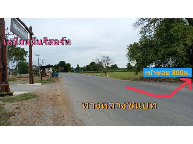 ขายที่ดินวิวเขาสวย เหมาะสร้างบ้านสวนยามเกษียณ โคกหนองนา พื้นที่มีความอุดมสมบูรณ์ดี น้ำไม่ท่วม