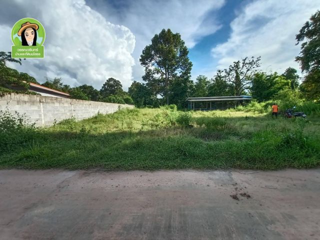 ที่ดินสร้างบ้าน 100 ตร.ว. บ้านกว้าง/ยโสธร 550,000.-