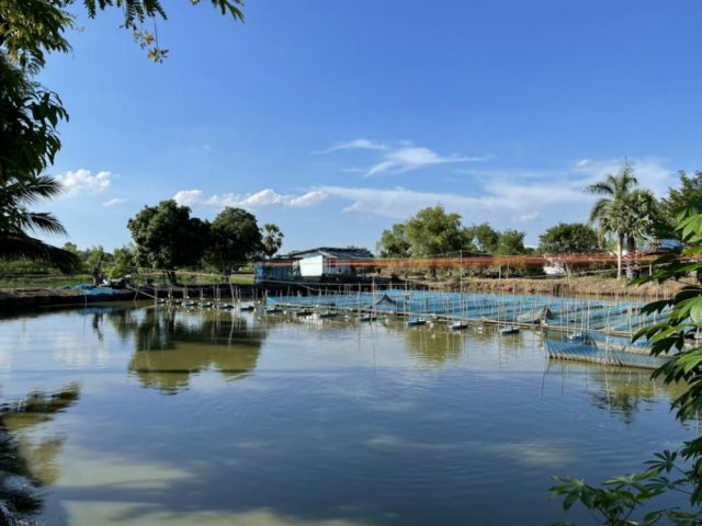 PR926ขายด่วน ที่ดินติดถนนสี่เลน มีเกาะกลาง ถนนศุขประยูร(พนัสนิคม-แปดริ้ว)