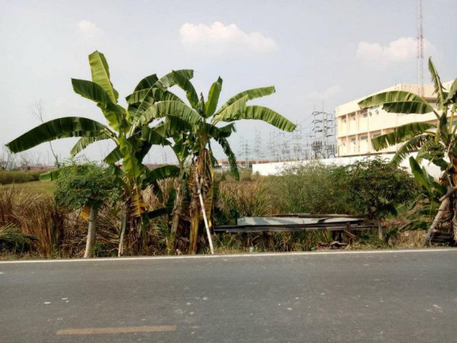 PR927ขายที่ดินทำเลทอง อำเภอบางปะอินพระนครศรีอยุธยาใกล้โลตัสบางปะอิน เนื้อที่ 12.8 ไร่ หน้ากว้างติดถนน 100 เมตร