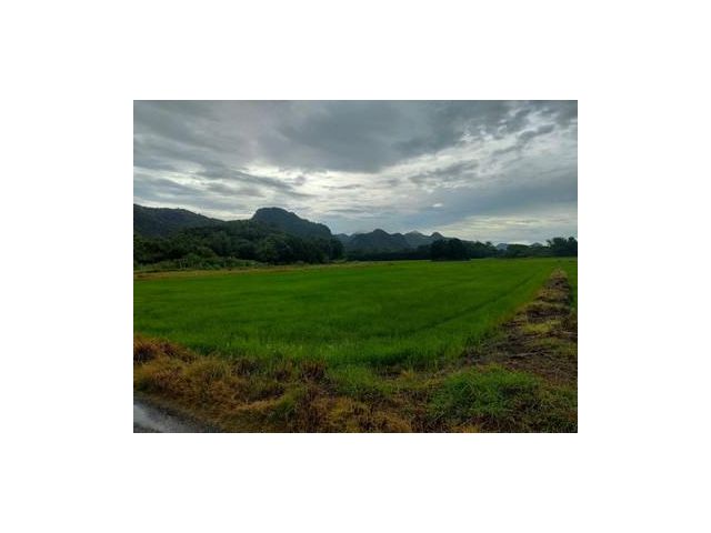 ขายที่ดิน 1ไร่ เมืองกาญจนบุรี