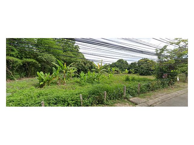 5B4MG0092 ขายที่ดิน ยกผืน พร้อมเอกสารสิทธฺ์ โฉนด  ที่ดินมีขนาด  12 ไร่ 3 งาน 5.7 ตรว.