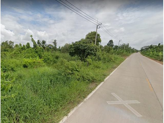 ขายที่ดินบางน้ำเปรี้ยว 391 ตรว. ติดถ.คอนกรีตติดคลอง 16 จ.ฉะเชิงเทรา