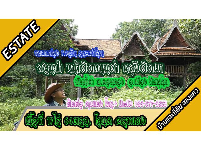 ขายสวนป่าสัก เนื้อที่ 17-0-64 ไร่ ที่ดินตั้งอยู่ที่ ต.ดอนทอง อ.เมืองพิษณุโลก ขายยกแปลง ราคา 7.9 ล้าน