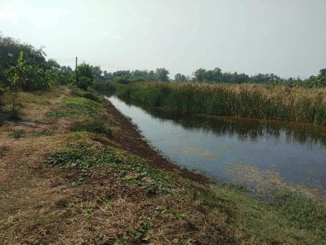 ขายที่ดินติดแม่น้ำบางปะกง 16 ไร่ ใกล้ถ.เส้น 3481 - 10 กม. จ.ฉะเชิงเทรา