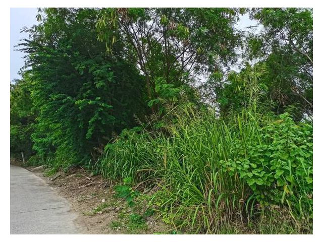 AK300921-03 ที่ดิน 2-3-71 ในซอยเพชรบ้านสวน 17 ต.บ้านสวน เมือง ชลบุรี