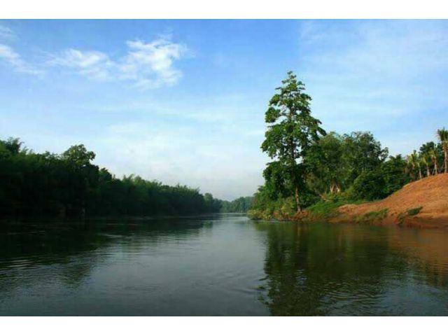ขายที่ดินสวน 5 ไร่ พร้อมโฉนด ทองผาภูมิ กาญจนบุรี