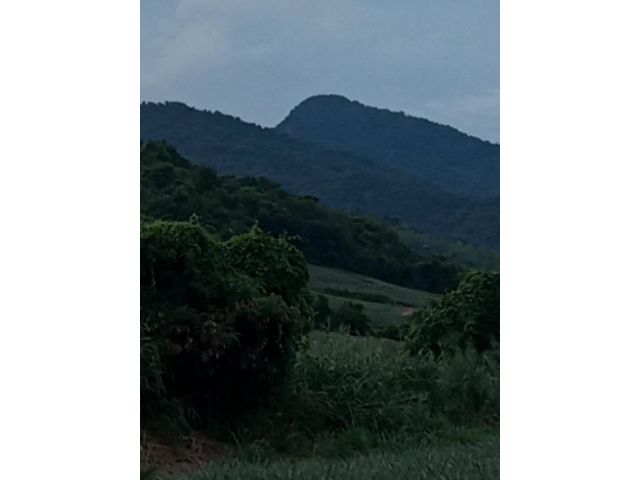ขายที่ดิน ใบ ภบท5  ประมาณ 300 ไร่ ห่างถนนลาดยางทางหลวง 150 เมตร