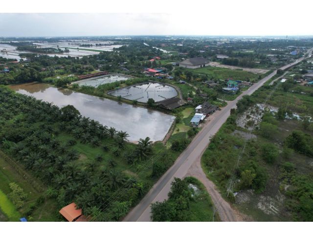 ขายที่ดิน 10 ไร่ ราคาถูก ติดคลอง ใกล้แยกตลาดไผ่ดำ หน้าติดถนนใหญ่ 3481 อ.บางน้ำเปรี้ยว จ.ฉะเชิงเทรา
