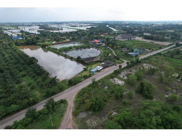 ขายที่ดิน 10 ไร่ ราคาถูก ติดคลอง ใกล้แยกตลาดไผ่ดำ หน้าติดถนนใหญ่ 3481 อ.บางน้ำเปรี้ยว จ.ฉะเชิงเทรา