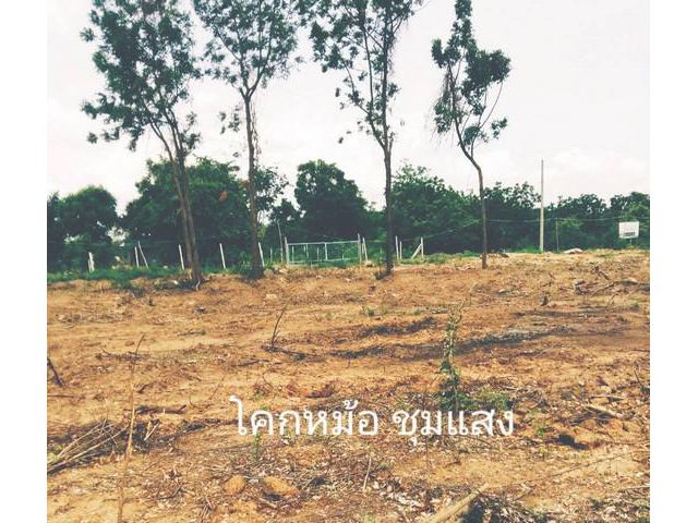 ขายค่ะขายที่ติดแม่น้ำ ชุมแสงนครสวรรค์ 0837124115